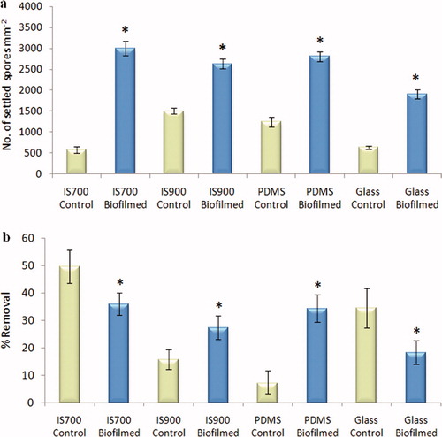 Figure 3. Effect of bacterial biofilms formed from NSW on the settlement and the adhesion strength of spores of U. linza on a range of test surfaces. (a) Mean density of settled spores on control (non-biofilmed) and biofilmed surfaces obtained from three replicate slides (n = 90). Error bars represent ± 2×SE. (b) Mean percentage removal of spores from control and biofilmed surfaces, calculated from the counts of three replicates exposed to 52 Pa shear stress compared with the three unexposed replicates. Error bars represent ± 2×SE, calculated from arcsine-transformed data. For the two figures, asterisks show values that are significantly different to control surfaces (ANOVA, p < 0.05).