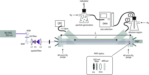 FIG. 1 Schematic diagram of the pulsed, 355 nm A-CRDS setup for measuring extinction cross sections of aerosol particles. WW: Wedged window, L1: lens with focal length f=25 mm, A1: 100 μm aperture, L2: lens with focal length f=50 mm, A2: 1 mm aperture, CPC: condensation particle counter, DMA: differential mobility analyzer, PMT: photomultiplier tube, L: length between mirrors, and ℓ: distance occupied by aerosol particles. Particles are mixed and diluted in two different configurations indicated by the labels A and B. (Color figure available online.)