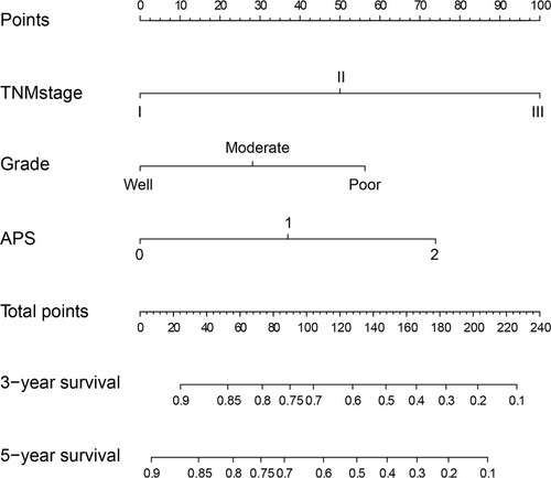 Figure 3 The nomogram integrating APS, TNM stage, and grade for the prediction of the 3- and 5-year survival rates of ESCC patients.