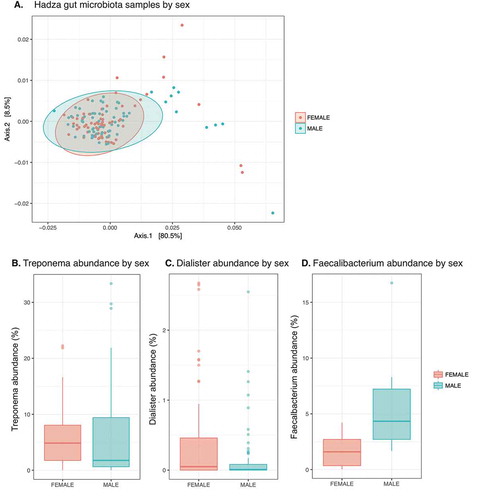 Figure 4. Limited sex differences in the Hadza microbiota.A. MDS plot of weighted Unifrac distance of Hadza fecal samples; pink, female; blue, male. Populations not significantly different (p-value = 0.328, permuted F-statistic).B. Genus Treponema abundance by sex; p-value = 0.031, Wilcoxon test.C. Genus Dialister abundance by sex; significant with FDR < 5% across all genera with ANCOM test; p-value 0.0059, Wilcoxon test.D. Genus Faecalibacterium abundance by sex from samples taken from the early wet season to match sampling season from previous report; significant with FDR < 5% across all genera with ANCOM test; p-value 0.017, Wilcoxon test.