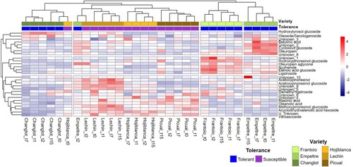 Figure 1. Hierarchical clustering heatmap showing the quantitative basal metabolites composition present in roots of control (non-inoculated) olive plants at different sampling time points (t0, 1, 2, 7, 15 days). The concentration of each compound is the average value of three replicates (n = 3) per variety.