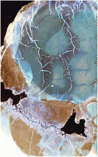 Figure 3. Photograph of extreme reactive negative film to corrosive chemicals.