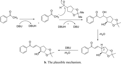 Scheme 85b. The plausible mechanism.