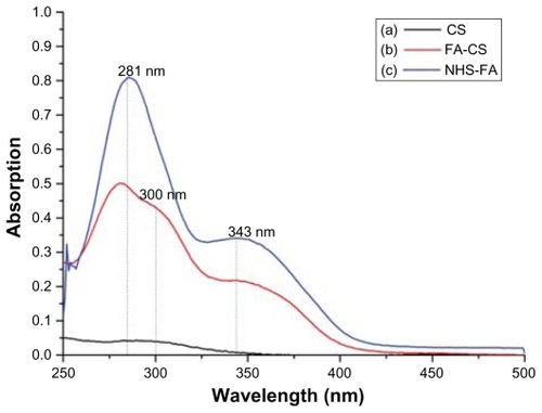 Figure 3 Determination of NHS-FA conjugation with CS.Notes: (a) CS has an extremely weak absorption peak at 300 nm. (b) FA-CS has three absorption peaks, at 281 nm, 300 nm, and 343 nm, respectively. (c) NHS-FA has a strong absorption peak at 281 nm and a weak absorption peak at 343 nm.Abbreviations: CS, chitosan; FA-CS, the folate-conjugated chitosan; NHS-FA, N-hydroxysuccinimide ester of folate.