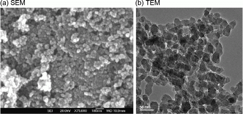 Figure 2.  (a) SEM and (b) TEM images of the titania nanoparticles (16). Reprinted with permission from Elsevier © 2009.