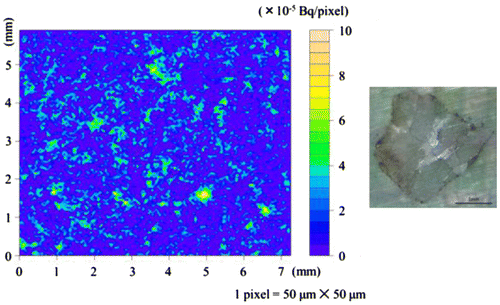 Figure 13. Image of the radioactivity (μBq/pixel) (left) and a photograph (right) of particle No. 13.