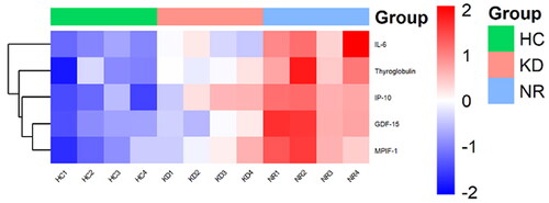 Figure 3. A heatmap was Generated from microarray data to visualize the expression values of cytokines. Upregulated cytokines were depicted in red, while downregulated genes were represented in green. The samples included in the heatmap were NR1-4 (IVIG-resistant patients), KD1-4 (IVIG- responsive patients), and HC1-4 (healthy controls).