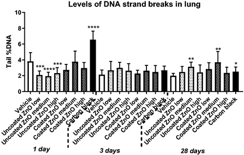 Figure 6. Levels of DNA strand breaks in lung tissue at 1, 3 and 28 days of ZnO exposure. Uncoated (uncoated ZnO) or triethoxycaprylylsilane-coated ZnO nanoparticles (coated ZnO) were administered by intratracheal instillation at 0.2, 0.7 or 2 µg/mouse. Low, medium and high designates low-dose, medium-dose and high-dose, respectively. Carbon black at 162 µg/mouse served as positive control. One, three or twenty-eight days later, lung tissue was recovered and levels of DNA strand breaks measured as percent DNA in the tail by comet assay. Data are mean and bars represent SD. ****, ***, ** and * designates p-values of <0.0001, <0.001, <0.01 and <0.05 respectively vs. vehicle of one way ANOVA with Holm–Sidak’s multiple comparisons test. In the case of carbon black data were tested with t-test.