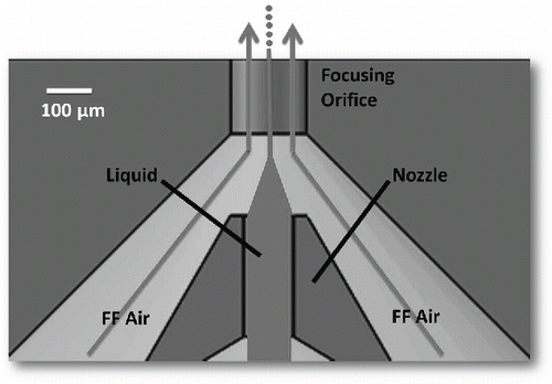 Figure 2. Schematic diagram of flow-focusing nozzle.