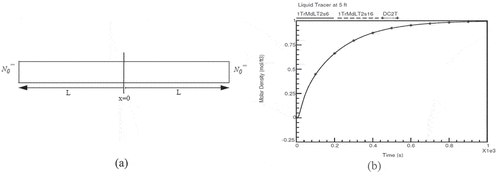 Fig. 6. Model for tracer diffusion verification