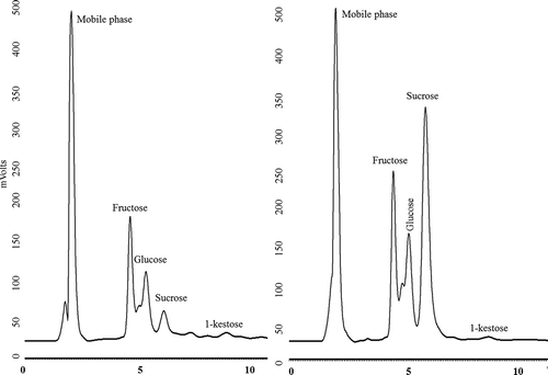 Figure 2. Sugars profile by HPLC of analyzed of agave syrup before and after thermal process.Figura 2. Perfil de azúcares por HPLC del jarabe de agave antes y después del proceso térmico.