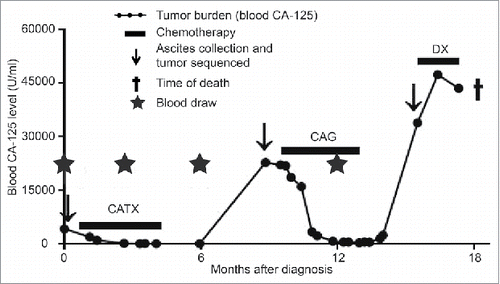 Figure 1. Clinical course for Patient 3. The dotted line shows blood CA-125 levels as a measure of tumor burden. Horizontal lines indicate the time of chemotherapy treatment (CATX = carboplatin and paclitaxel, CAG = carboplatin and gemcitabine, DX = pegylated liposomal doxorubicin). This figure was modified from previous articles Citation15,30.