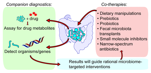 Figure 4. Integrating the gut microbiome into personalized or precision medicine. Rapid personalized clinical diagnostics may one day include ex vivo incubation of a patients’ microbiota with potential drug therapy cocktails, or “microbiota typing” using culture-dependent or -independent methods (e.g., sequencing, quantitative PCR). Patient populations might be stratified based on the results from these tests, and appropriate co-therapies may be administered. Potential therapeutic strategies include dietary supplements, prebiotics, probiotics, fecal microbiota transplantation, small molecule modulators of microbial gene expression/enzyme activity, or antibiotics.