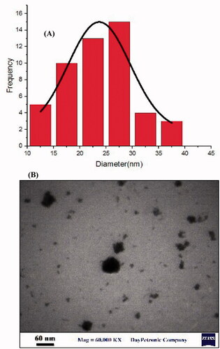 Figure 1. (A) Particle size distribution histogram of optimized PAEO-SLN4 and (B) TEM image of PAEO-SLN4 (Note: PAEO-SLN: Pistacia atlantica EO loaded in SLNs).