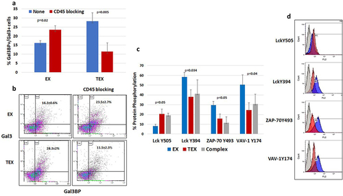 Figure 4. Gal3/Gal3BP complex binding to CD45 and inhibiting CD45 signaling pathway in TEX. A. Percentage of T cells displaying Gal3BP/Gal3 complex with and without CD45 blocking in EX- and TEX-treated cells (n = 3). Results are expressed as mean±SD (two-tailed t test). B. Representative dot blot of FACS analysis of CD3+ gated cells expressing Gal3BP/Gal3 complex. C. Percentage of Lck Y505, Lck Y394, ZAP-70 Y493 and VAV-1 Y174 phosphorylation in PBMCs treated with EX, TEX, or complex (Gal3BP and Gal3 recombinant proteins). D. Representative histogram showing phosphorylation of proteins in the CD45 pathway after treatment with EX (red) or TEX (blue).