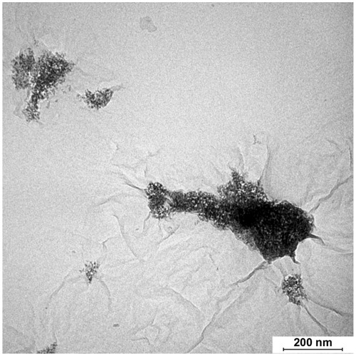 Figure 4 Transmission electron micrograph of reduced graphene oxide/titanium oxide nanocomposite synthesized without triethanolamine.