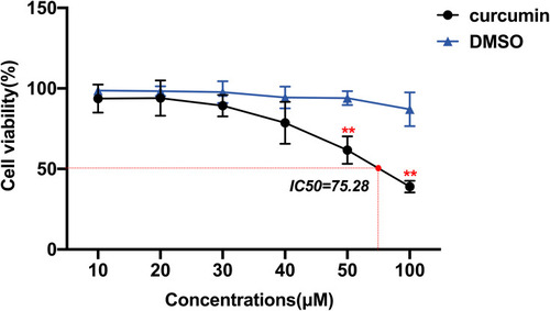 Figure 6 Effects of curcumin on the activity of U251 cells, which were treated with curcumin at corresponding concentrations. **P < 0.01.