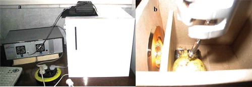 Figure 2. A: Set-up of Vis/NIR equipment; B: fruit presentation for NIR spectroscopy.