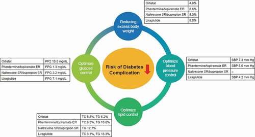 Figure 2. Anti-obesity medications and T2D risk management [Citation62]. Data from XENDOS trial (orlistat) = 4-year duration; CONQUER trial (phentermine-topiramate), COR-1 trial (naltrexone/bupropion), and SCALE trial (liraglutide) = 56-week duration. ER: extended release, FPG: fasting plasma glucose, PP2: postprandial 2-hour plasma glucose, SBP: systolic blood pressure, SR: sustained release, T2D: type 2 diabetes, TC: total cholesterol, TG: triglyceride.