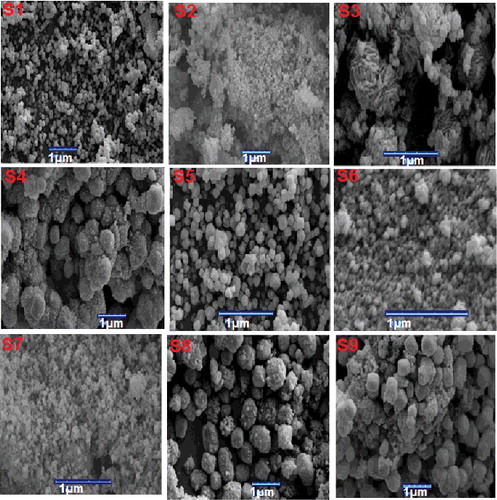 Figure 4. SEM images of ZSM-5 crystals synthesized by dry gel conversion method (DGC)