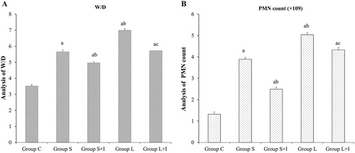 Figure 4. W/D (A) and PMN counts (B) in different groups.Note: a p < 0.05 vs. Group C; b p < 0.05 vs. Group S; c p < 0.05 vs. Group L. Data are shown means ± SD, n = 10 in each group.