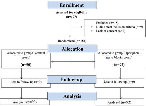 Figure 3 Consort flow diagram.