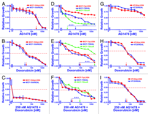 Figure 1. Sensitivity of NGAL- and pLXSN-infected cells and doxorubicin-resistant MCF-7/DoxR cells to the EGFR inhibitor AG1478, doxorubicin and the combination of doxorubicin and a constant dose of 250 nM AG1478. Cells were collected and seeded (2,000 cells/well) in 96-well plates. The following day, serial 2-fold dilutions of AG1478 (A, D and G), doxorubicin (B, E and H) or serial 2-fold dilutions of doxorubicin and a constant dose of 250 nM AG1478 (C, F and I) were added to the wells. Four days later, MTT assays were performed. (A–C) MCF-10A/pLXSN (solid squares), MCF-10A/NGAL (solid upright triangles), (D–F) MCF-7/pLXSN (solid squares), MCF-7/NGAL (solid upright triangles) and 25 nM doxorubicin-selected MCF-7/DoxR cells (solid downward triangles), (G–I) HT-29/pLXSN (solid squares), HT-29/NGAL (solid upward triangles). A hatched horizontal line is present at the 50% relative growth mark from which the IC50 can be calculated. A vertical arrow indicates the IC50. The statistical significance was determined by the unpaired t-test (***, p < 0.001). All the experiments in this figure were performed at the same time (set up on the same day). These experiments were repeated multiple times, and similar results were obtained.