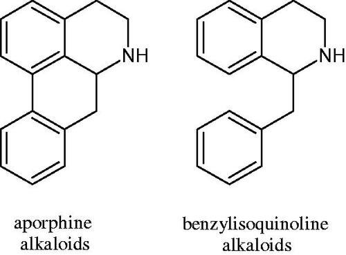 Figure 7. Structure of benzylisoquinoline alkaloids and apomorphine alkaloids.