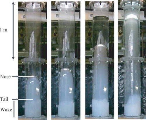 Figure 1. A variety of experimentally-produced Taylor bubbles ranging in length from 0.3 m to over 1 m. For the shortest bubble, the approximate positions of the nose, tail and wake regions are indicated.