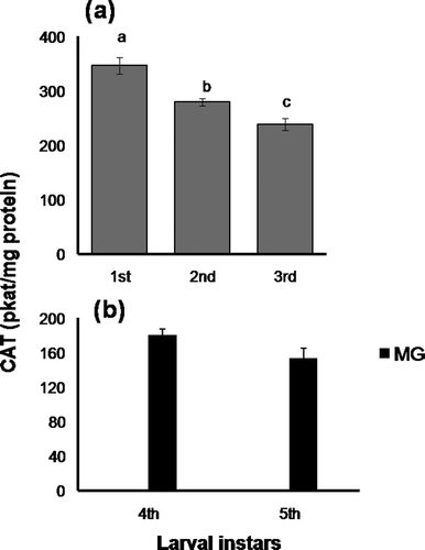 Figure 4. Changes in catalase activity (pkat/mg protein) in (a), whole-body homogenate of early larval stages and (b), midgut of 4th and 5th instar larvae. Data are expressed as mean ± SEM (n = 6). Means having superscripts of different lower case letters (a–c) represent a significant difference from each other within identical tissue (p < 0.05).