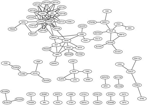 Figure 1. Protein–protein interaction network for up- and down-regulated differently expressed genes.