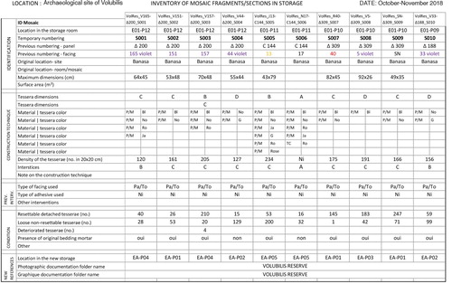 Figure 2. (a) Mosaic inventory/data form developed for the training.