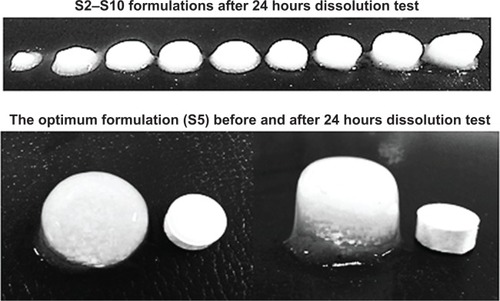 Figure 8 The shape of famotidine matrix tablets after in vitro dissolution test.
