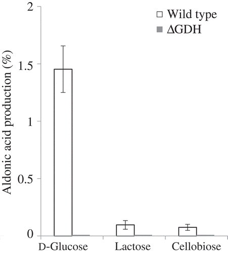 Figure 4. Oxidation of d-glucose, lactose, and cellobiose by m-GDH-deficient variant of NBRC3288. Resting cells of NBRC3288 wild-type and m-GDH-deficient variant were prepared, and sugar-oxidizing activities were measured using HPAEC-PAD (n = 3–5).The graph shows the production of d-gluconic acid, LacA, and cellobionic acid by the wild-type strain (white bars) and mutant strain (gray bars).