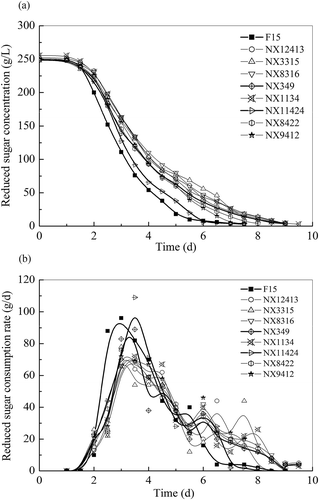FIGURE 1 (a) The reduced sugar concentration and (b) consumption rate curves of S. cerevisiae strains.