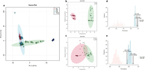 Figure 4 Scores plot of PCA and OPLS-DA analysis from metabolic profiles of different plasma samples. (a) scores plot of PCA from different plasma samples. (b) scores plot of OPLS-DA from BL and HC. (c) scores plot of OPLS-DA from BL and TCM. (d) permutations in BL and HC. (e) permutations in BL and TCM. BL: CNAG patients before CGGD treatment; TCM: CNAG patients after CGGD treatment; HC: healthy controls.