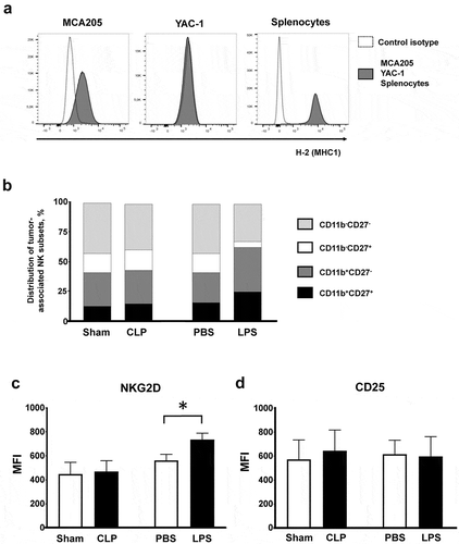 Figure 4. Tumor-associated NK subsets. (a) Major histocompatibility complex class 1 expression on MCA205 and YAC-1 cell lines and on splenocytes from naive mice (positive control) stained with anti-H2 antibody. (b–d) Mice were subjected to s.c. inoculation of MCA205 tumor cells followed followed 14 days later by a septic insult (sham surgery or CLP, or PBS or LPS i.p. challenge). Tumors were removed at 24 hours following the septic challenge to assess the distribution of intratumoral NK subsets based on CD11b and CD27 expressions (b) and the membrane expressions of NKG2D (c) and CD25 (d) on intratumoral NK cells. 6–11 mice/group from two independent experiments. MFI, median fluorescence intensity. *p < .05.