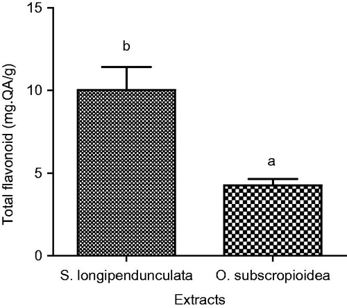 Figure 2. Total flavonoid content of aqueous extract of S. longipendunculata root and O. subscropioidea leaf. Values with different alphabet (a and b) are statistically different.