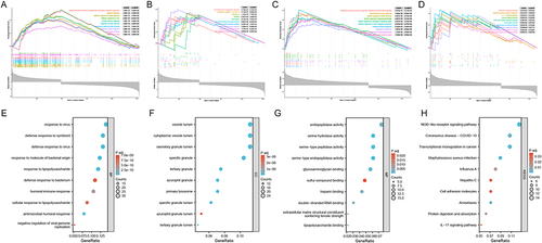 Figure 2 Results of functional enrichment analysis of HF and SLE. (A) Results of GSEA enrichment of all the genes in HF based on GO-BP. (B) Results of GSEA enrichment of all the genes in HF based on KEGG. (C) Results of GSEA enrichment of all the genes in SLE based on GO-BP. (D) Results of GSEA enrichment of all the genes in SLE based on KEGG. (E) GO-BP enrichment results of the common DEGs in HF and SLE. (F) GO-CC enrichment results of the common DEGs in HF and SLE. (G) GO-MF enrichment results of the common DEGs in HF and SLE. (H) KEGG enrichment results of the common DEGs in HF and SLE.