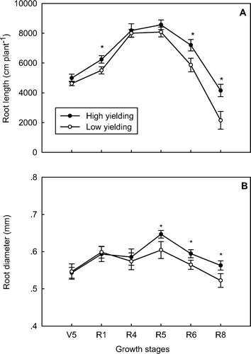 Fig. 3  Root length (A) and average root diameter (B) in high- and low-yielding soybean pools across all growth stages. Note: * and ** indicate growth stages at which root lengths or root diameters of the two yielding pools were significantly different at P < 0.05 and P < 0.01, respectively; bars represent standard error of the mean (n = 4)
