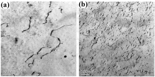 Figure 10. TEM bright-field images showing the interaction between dislocations and γ′ particles when crept at (a) 750°C/130 MPa and (b) 700°C/200 MPa.