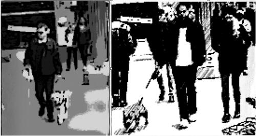Figure 1. (a) Dog-walking with a dog-at-work; (b) a couple dog-walking together.