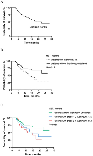 Figure 2 Kaplan–Meier curve for overall survival (OS) time (A) in all enrolled patients, (B) in patients with or without liver injury, (C) in patients with different severity of liver injury.