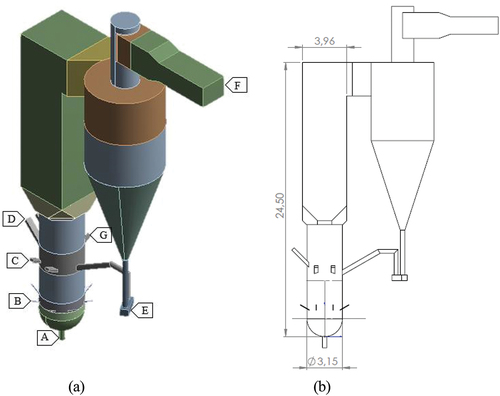 Figure 1. (a) geometry and; (b) CFB boiler dimensions.