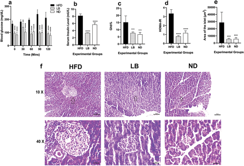 Figure 1. Effect of dietary supplementation of L. brevis SAD on glycemic parameters and pancreatic histomorphology among different experimental groups (each bar represents mean of 6 replicates ± SD; arrows in the histological images (10×) showing the position of the islets).