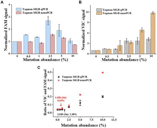 Figure 5 Detection ability comparison of Taqman-MGB qPCR and nanoPCR varied different mutation abundance. (A) The amplification signal of WT templates (ie, FAM fluorescence) varied with different mutation abundance. (B) The amplification signal of MT templates (ie, VIC fluorescence) varied with different mutation abundance. (C) Quantification of different mutation abundance by ratio of VIC and FAM signals in Taqman-MGB qPCR and nanoPCR. The fluorescence intensity is normalized to that of 0% mutation abundance group in figure A and B.