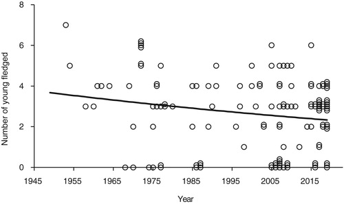 Figure 5. The numbers of young fledged from all nests (including failed nests) against year from 1949 to 2019 (n = 135). Some of the points have been plotted with ‘jitter’ to show multiple records with the same number of young fledged in any year. The regression was significant (F1 = 4.57, P = 0.03). Full details are given in the text.
