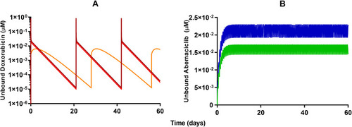 Figure 6 Model-based simulations of time-course profiles for unbound plasma concentrations of (A) 60 mg/m2 (red) or 75 mg/m2 (dark red) free doxorubicin once every 21 days, 50 mg/m2 pegylated liposomal doxorubicin (light orange) once every 28 days, and (B) 150 mg (green) or 200 mg (dark blue) abemaciclib twice daily.