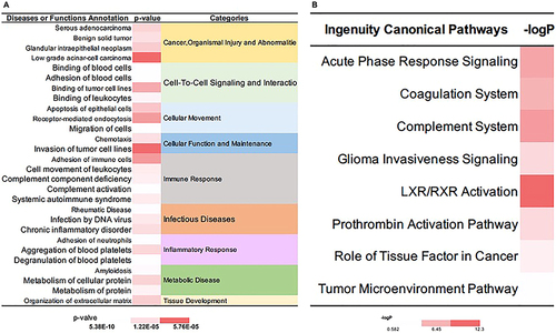 Figure 10 IPA analysis of DEPs in radiotherapy-reduced OME group. (A) The diseases or functions annotation; (B) The major canonical pathways. The color of the bar in p-value and -logP column indicates the level of significance.