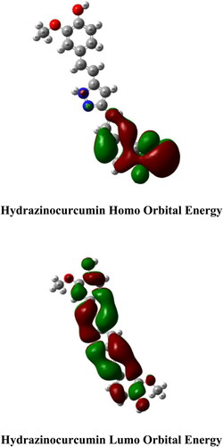 Figure 6. DFT study of hydrazinocurcumin.
